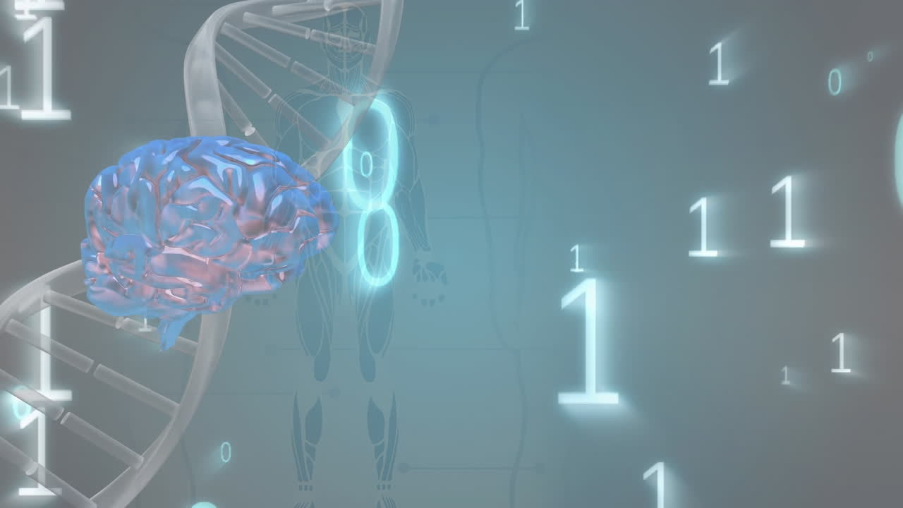 animación de la cadena de adn girando sobre el procesamiento de datos