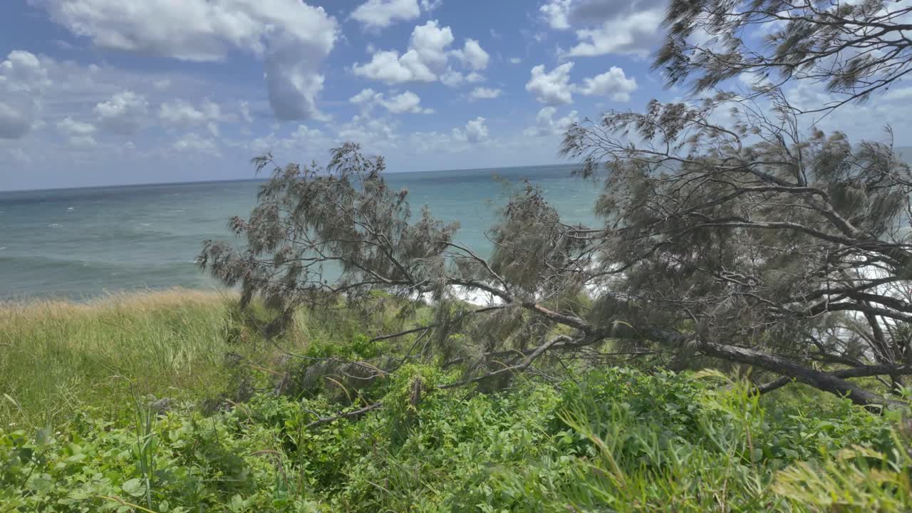 View of the Pacific Ocean with green vegetation and trees from a lookout in Australia