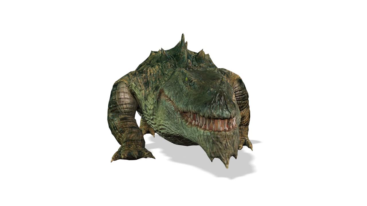 크로코, 앞면 시우프리스 루프, 색 배경