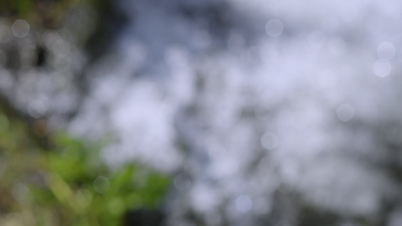 Slow Motion Rivers Under Bridge with Plant Life with Water Droplets and Flickering Bokeh as Focus Changes.