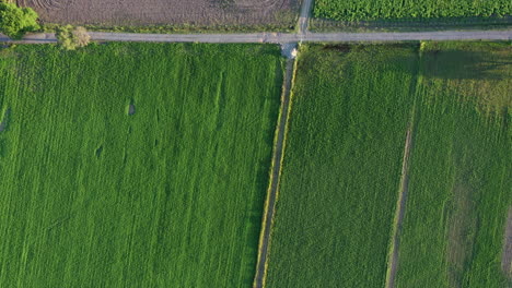 Vista-Aérea-De-Los-Campos-Agrícolas