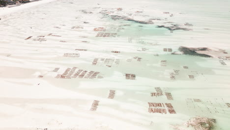 vista aérea de una granja de algas marinas en zanzíbar con aguas claras