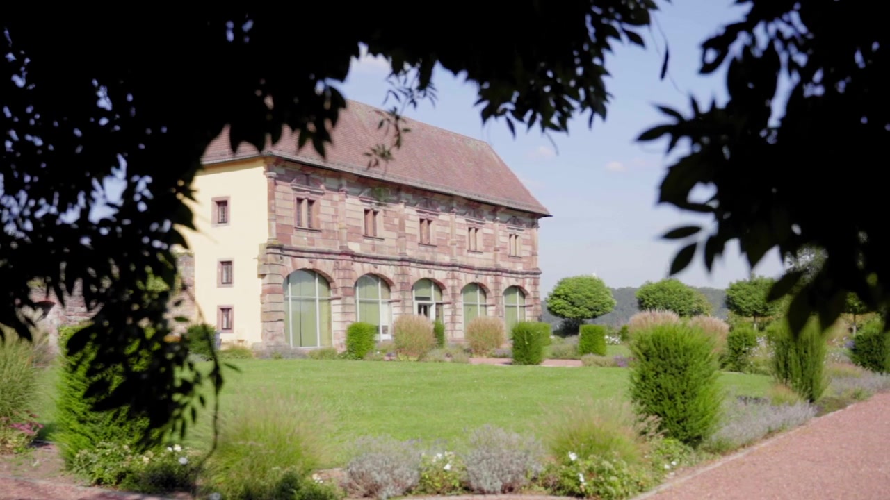 Ripresa al rallentatore della storica Orangerie a Blieskastel, parzialmente incorniciata da rami d'albero, che mostra l'architettura tradizionale e un vivace giardino estivo.