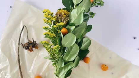 arrangement of fruits, flowers and plants on white background