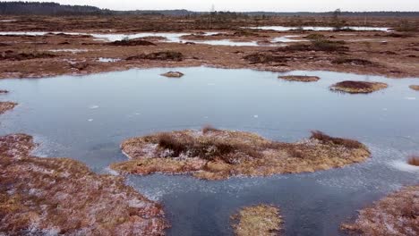 aerial drone view of frozen ice lakes in a bog landscape