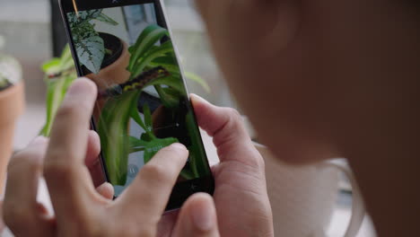 mujer usando un teléfono inteligente tomando una foto de una oruga que se arrastra comiendo plantas disfrutando de ver un hermoso gusano de insecto compartiendo en las redes sociales en una casa de apartamentos de cerca