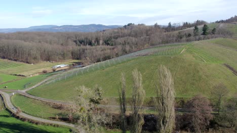 revealing scenic lush nature of baden wuerttemberg, germany