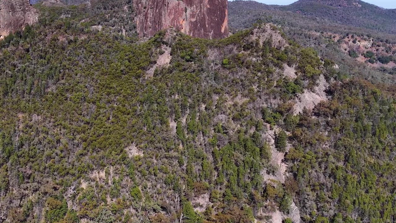 Volo di drone sopra crinali boscose verso la formazione vulcanica Breadknife nel Parco Nazionale Warrumbungle