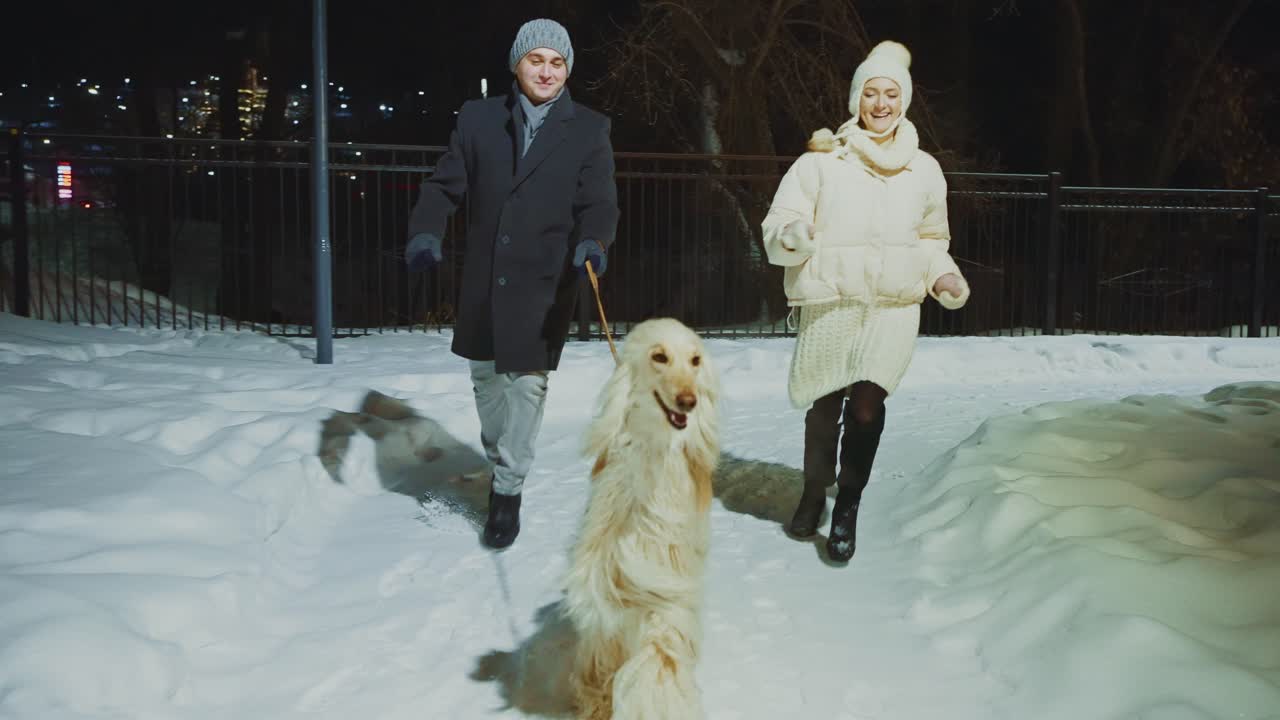 Couple walking their dog in the snow at night