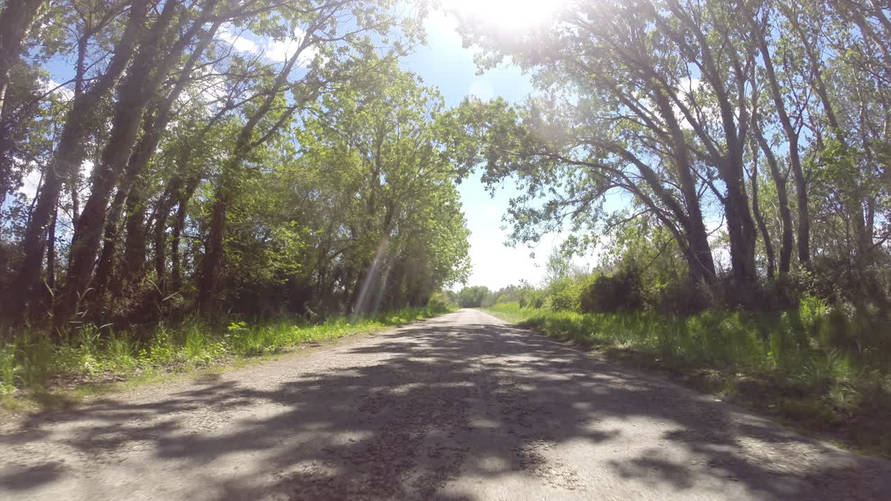 카마그 드라이브 4k 01