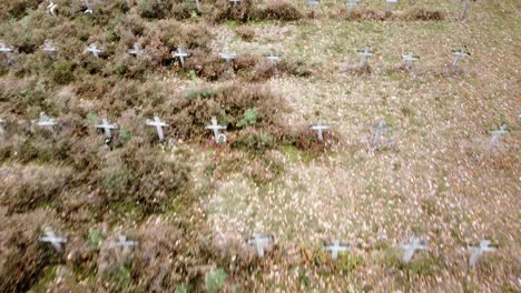 Friedhof-Der-Psychiatrischen-Klinik-In-Der-Nähe-Von-Lanaken,-Belgien