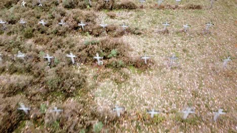 cementerio del hospital psiquiátrico cerca de lanaken, bélgica
