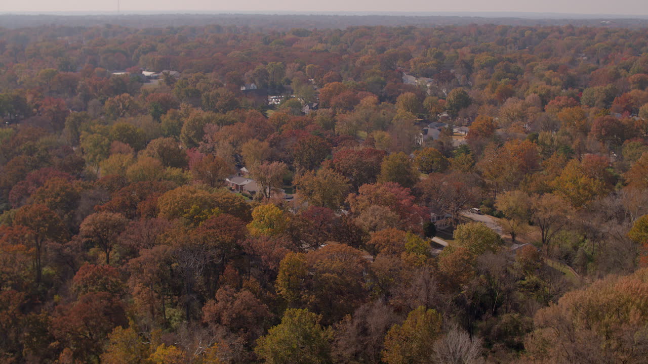empuje lento sobre hermosos árboles de otoño y el vecindario de webster groves en st.