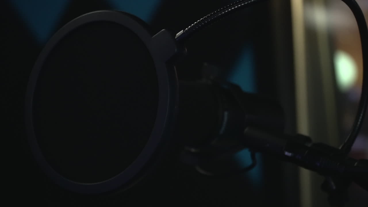 Black studio microphone with a pop filter in recording studio