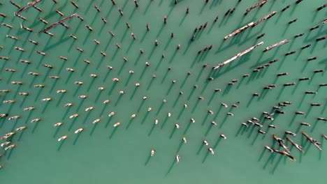 drone-flys-high-above-Dickman-Mill-looking-down-on-pylons-and-dock-remains