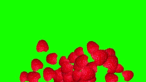 raspberryes group fruits animation transition green screen chroma key