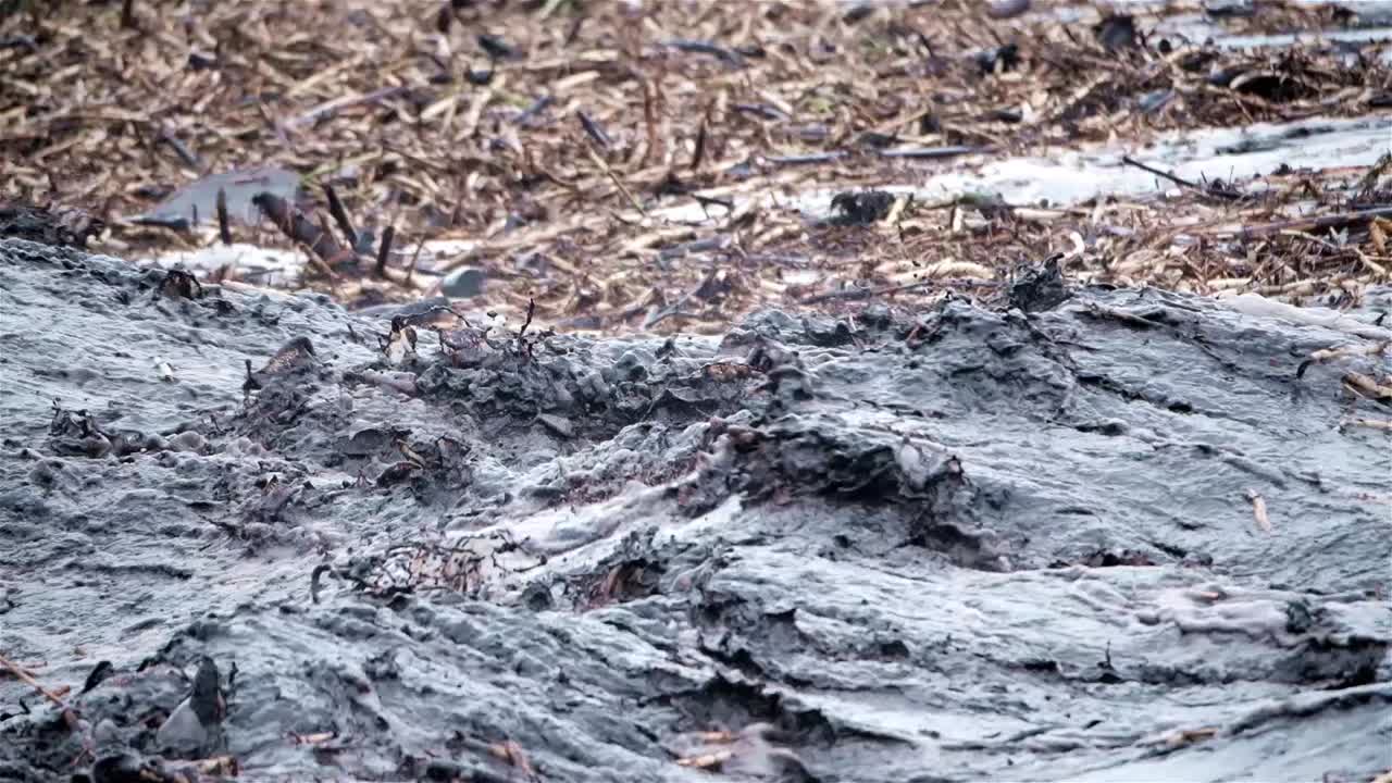 홍수 후 검은 난류 물과 유기적 잔해