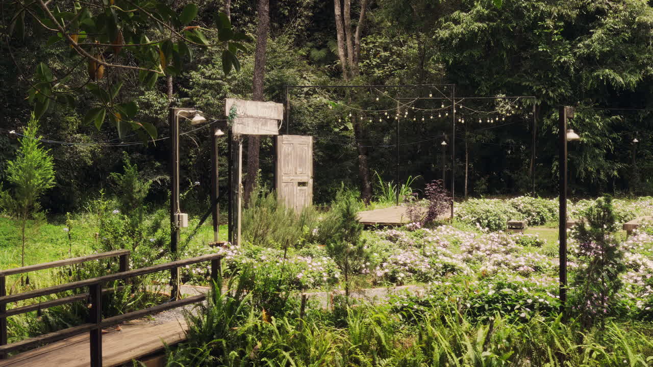 豊かな緑、咲き誇る花々、素朴なストリングライトが特徴の穏やかな森林庭園。平和な背景、ウェディングテーマ、自然をテーマにしたストック映像プロジェクトに最適