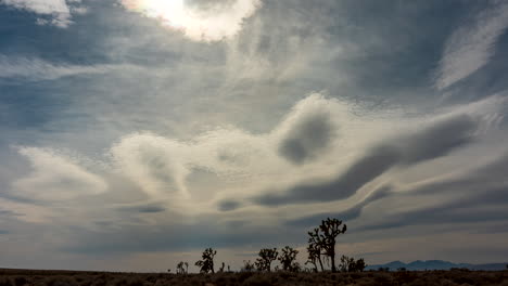 surreal time lapse of clouds, haze and vapor over a cluster of joshua trees in the mojave desert