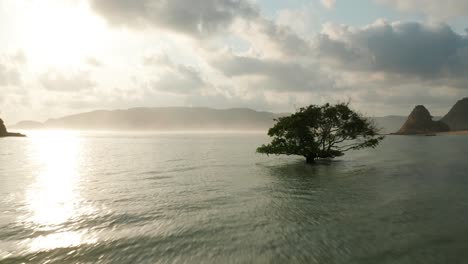 aéreo a través de una choza de sombra tradicional en la orilla arenosa en lombok durante la puesta de sol