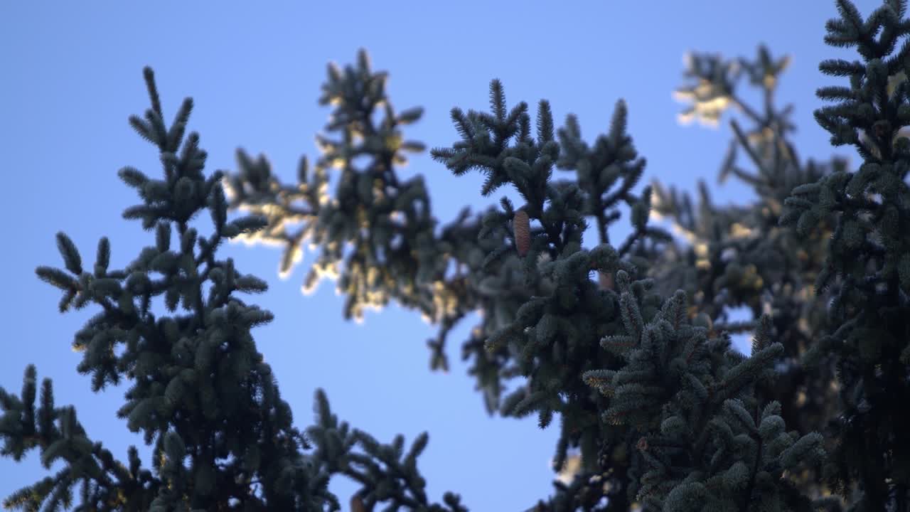 차가운 바람이 부는 아침 3 - 슬로모