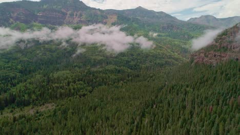 drone view of colorado's mountains with a lot of pine trees