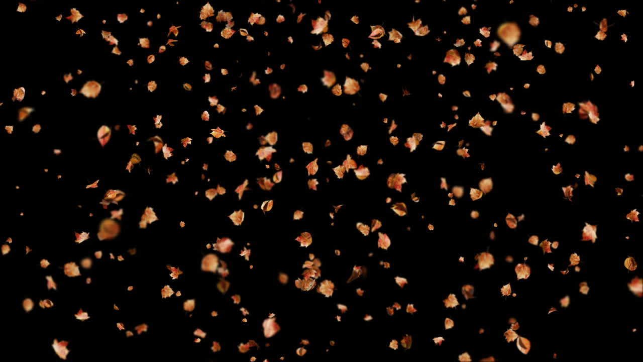 Falling Autumn Leaves Backround Loop