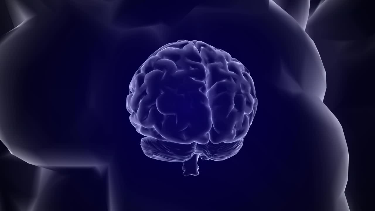 Menneskehjerne-hologram roterende på blå baggrund