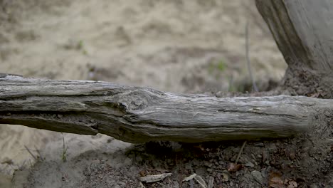 Slow-motion-view-of-seaside-from-clif