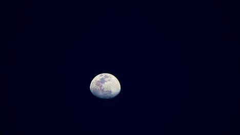 moon changes colors, yellow, blue, then purple, moves from bottom to to of screen, time lapse