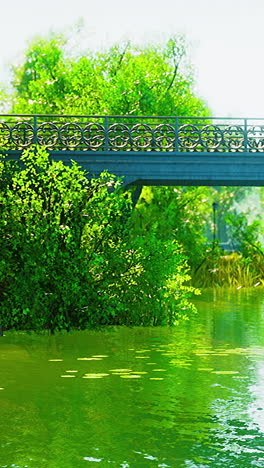 park bridge over a pond with lush green trees and vegetation