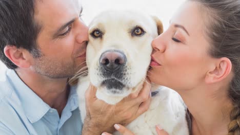 animación de un lindo perro de compañía labrador con una pareja feliz