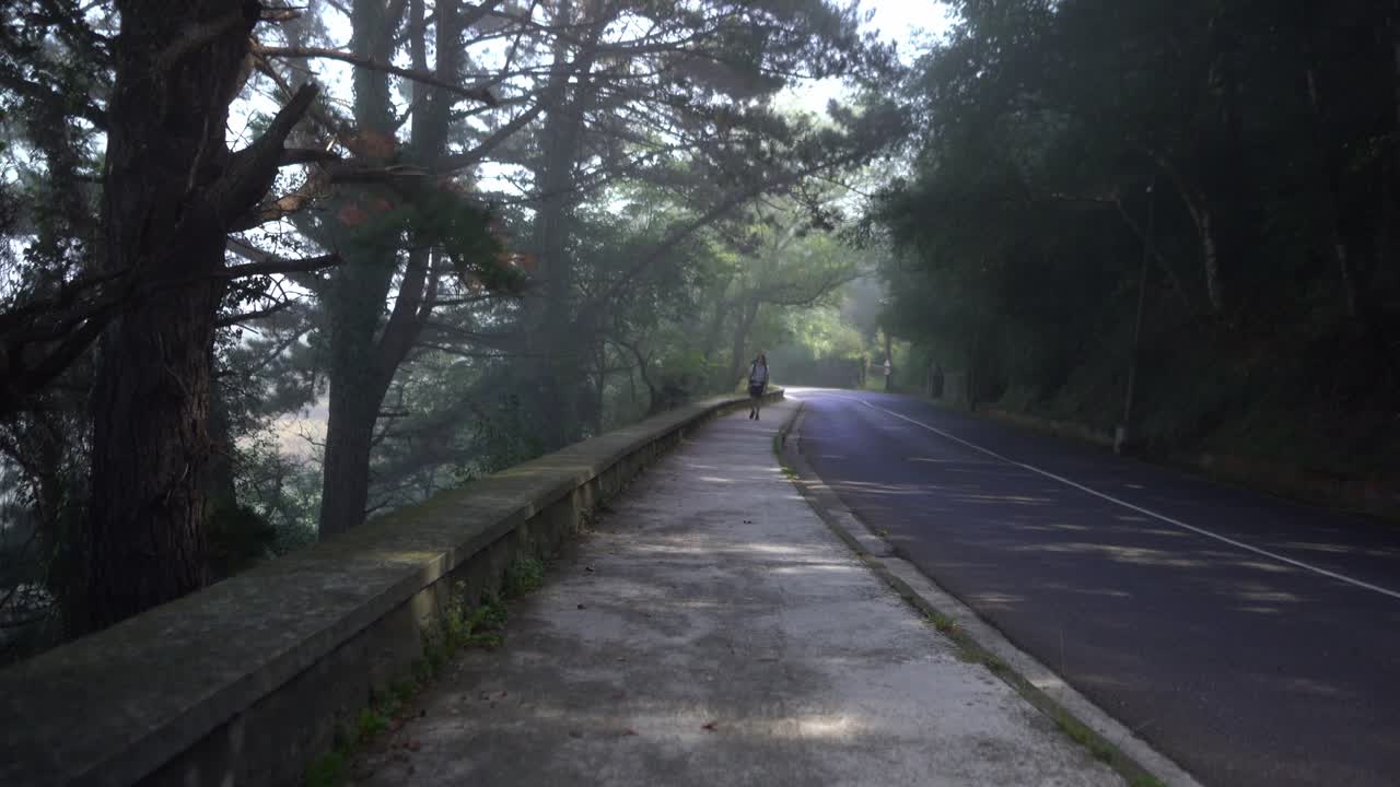 조용한 숲 자연에서 외로운 안개 거리에서 하이킹 코카시안 남자
