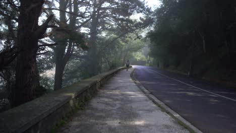 caucasian man hiking on lonely foggy street in quiet forest nature