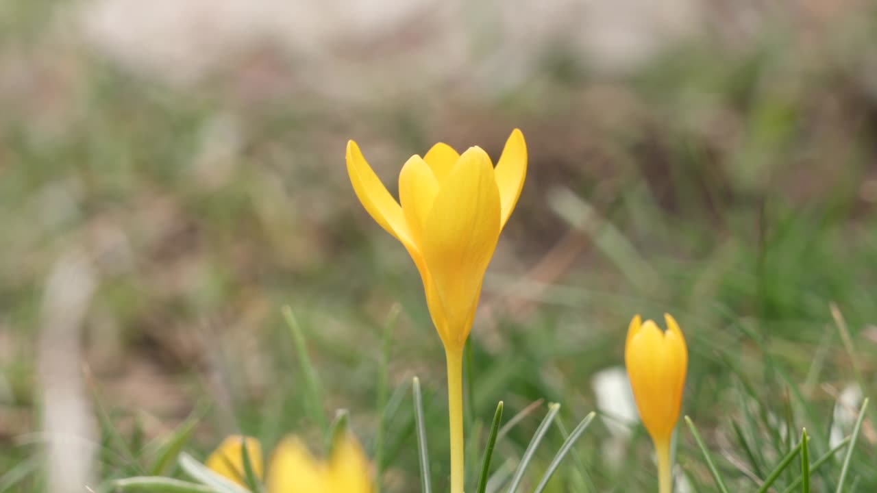 드라 바닥 표면