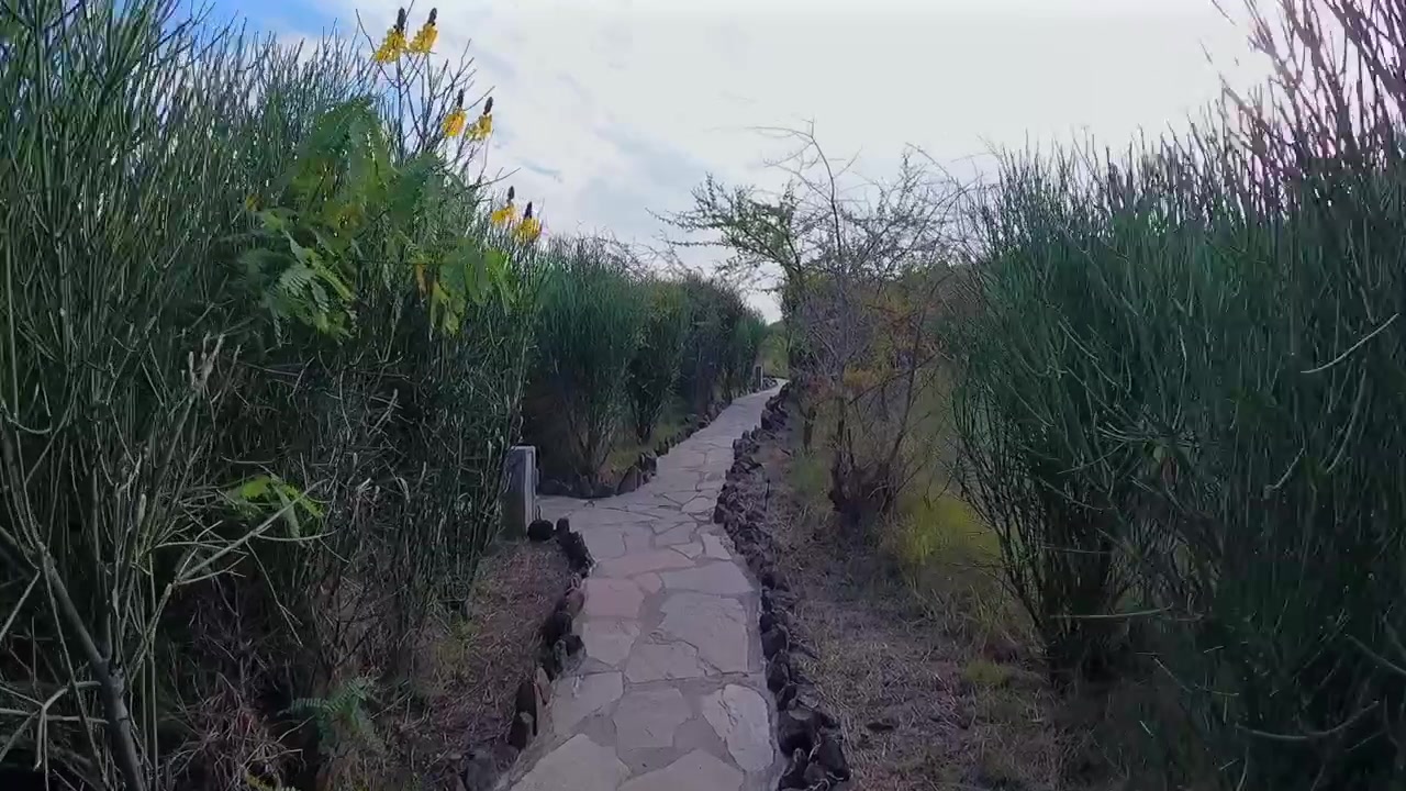 Et overblik over en lejr for turister, der besøger Masai Mara Nationalreservat.