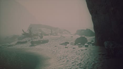 rocky cliff with sand beach in deep fog