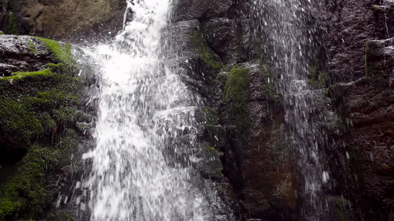 Water flow in rocky mountain washing green mossy stones. Water stream in forest