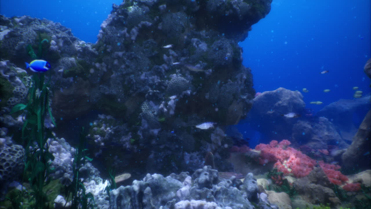 Underwater view of colorful coral reef teeming with marine life