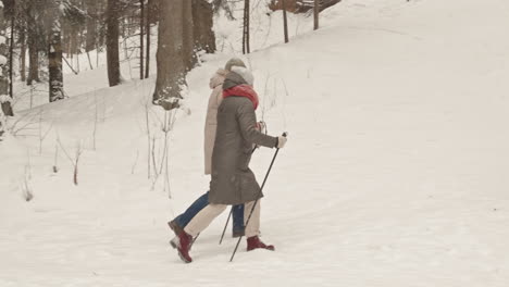 couple nordic walking in a snowy forest