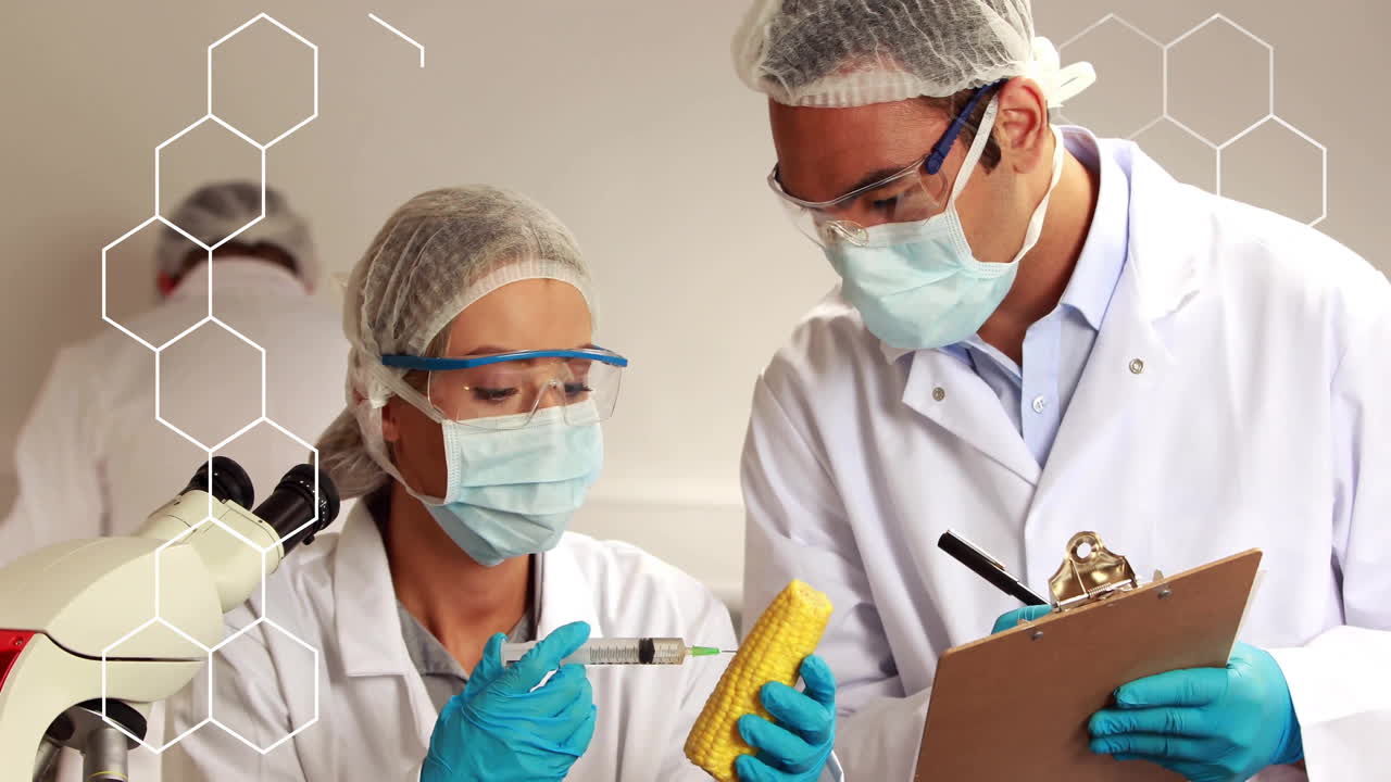 Woman scientist injecting corn cob in biotech lab, coworker noting data with hexagon overlay