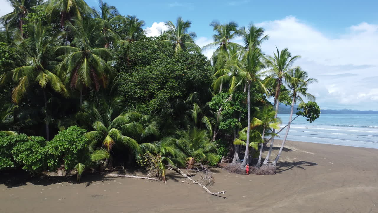 playa desierta tropical con una mujer de pie contra una palmera en el parque nacional marino ballena, costa rica