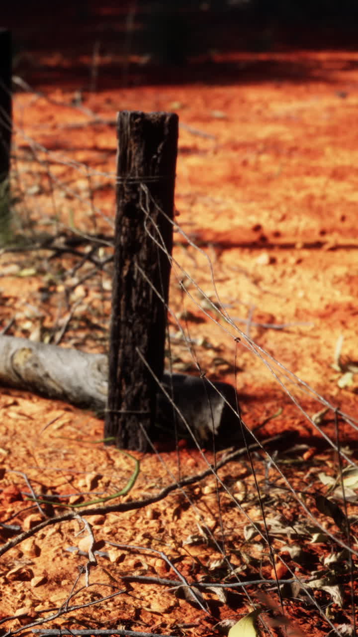 primer plano de una valla de alambre en un paisaje de tierra roja