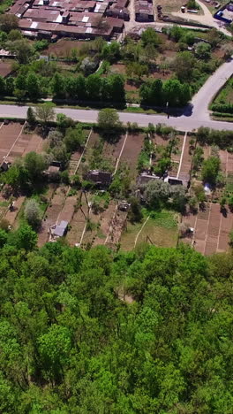 footage over the green forest, industrial zone and city residential area. aerial perspective on the urban territory on sunny daytime. vertical video