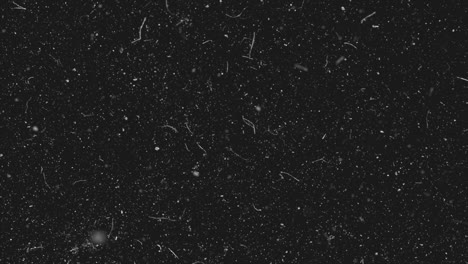 dust and dirt texture