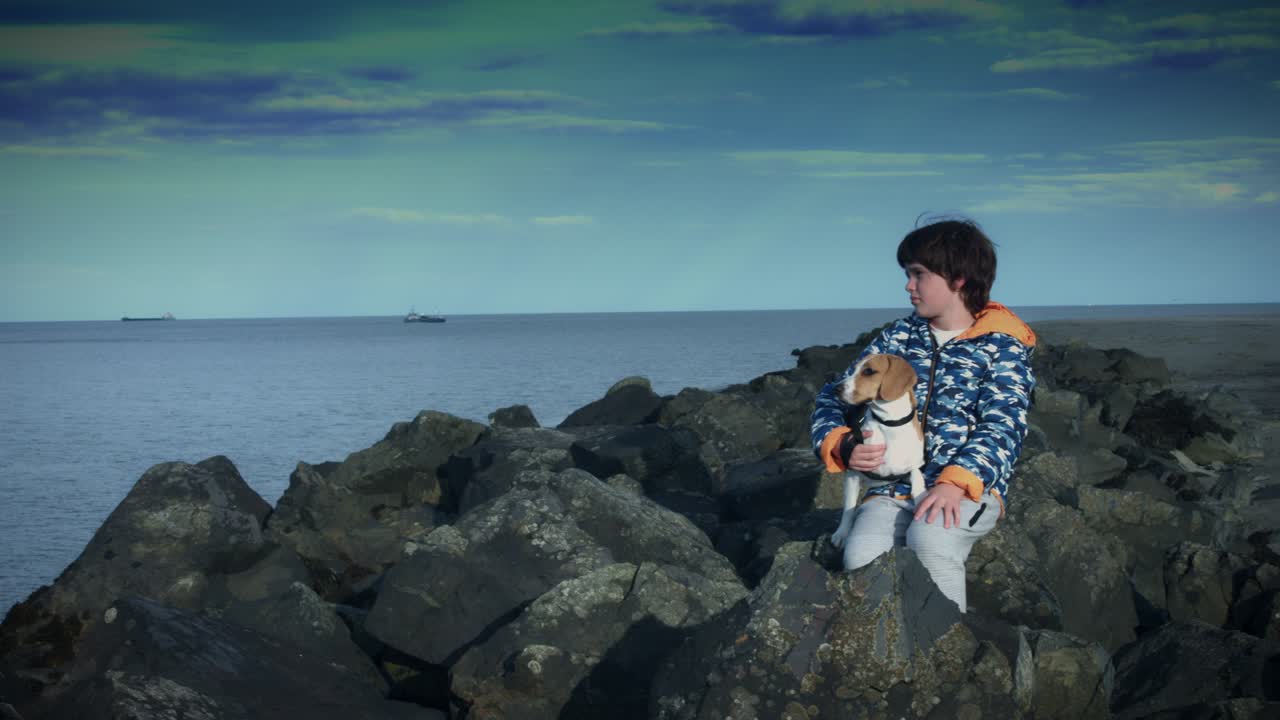 niño y perro posando en la playa