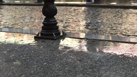 a close-up of a street lamp post with a wet pavement