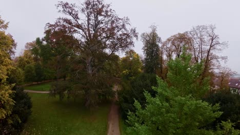 an aerial shot of a narrow road through a dense forest in autumn