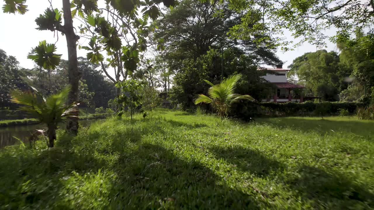 Rumput Hijau Subur di Tepi Danau pada Hari yang Cerah di Pedesaan. Penarikan drone.