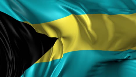 waving flag of the bahamas